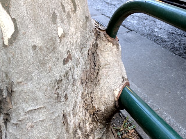 PXL_20260209_231016878 (2)