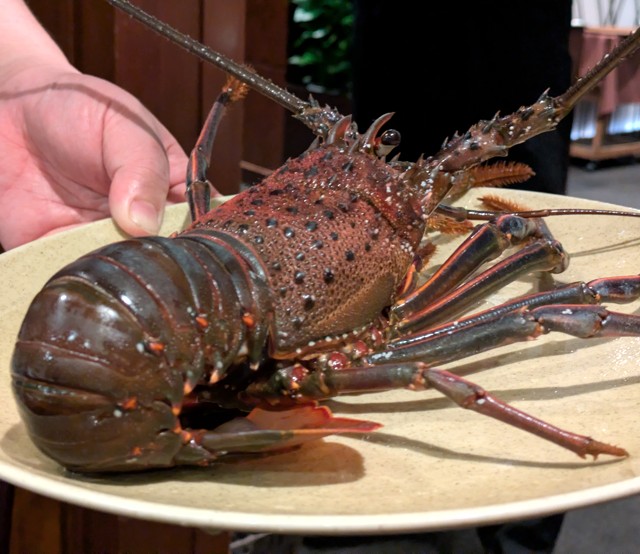 PXL_20260209_090548061 (2)