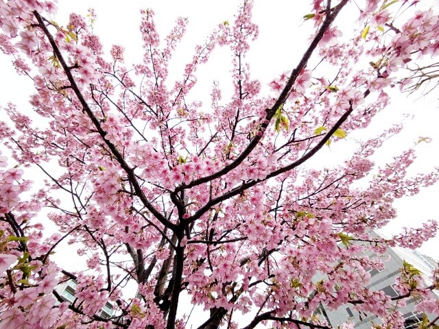 PXL_20260226_023802971