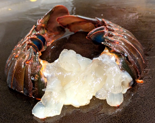 PXL_20260209_100852593 (2)