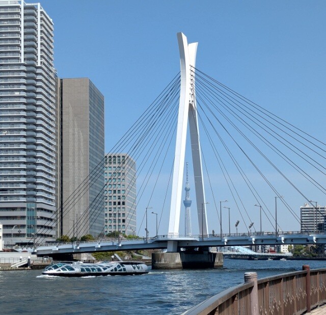 PXL_20260403_022354829~2