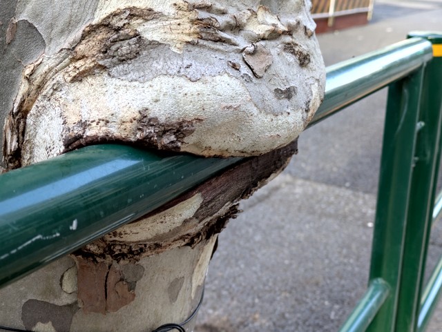 PXL_20260209_231143554 (2)