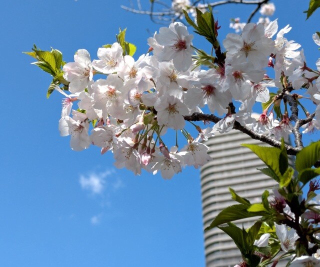 PXL_20260403_031444553