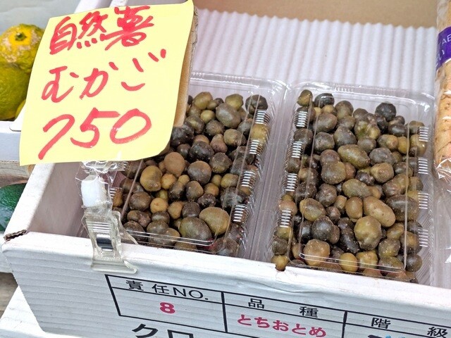 PXL_20251113_020108608