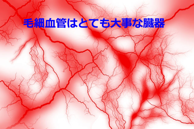 健康知識 毛細血管を増やすことが健康の鍵 通勤時間の本は何にする 健康知識 毛細血管を増やすことが健康の鍵 通勤時間の本は何にする