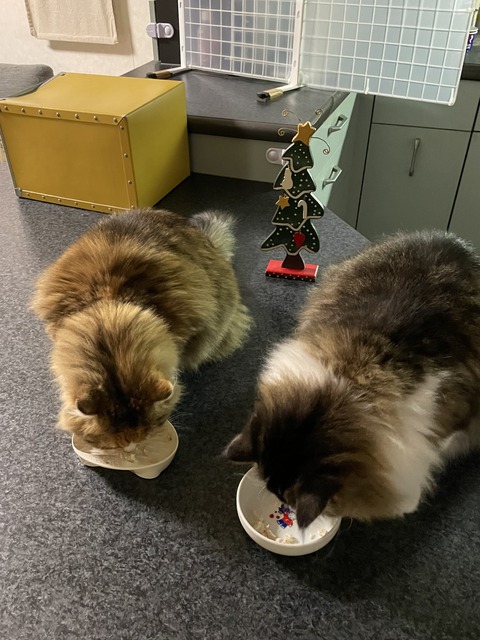 D14ED00B-EF2F-4391-8198-53CBCFA9C0FC