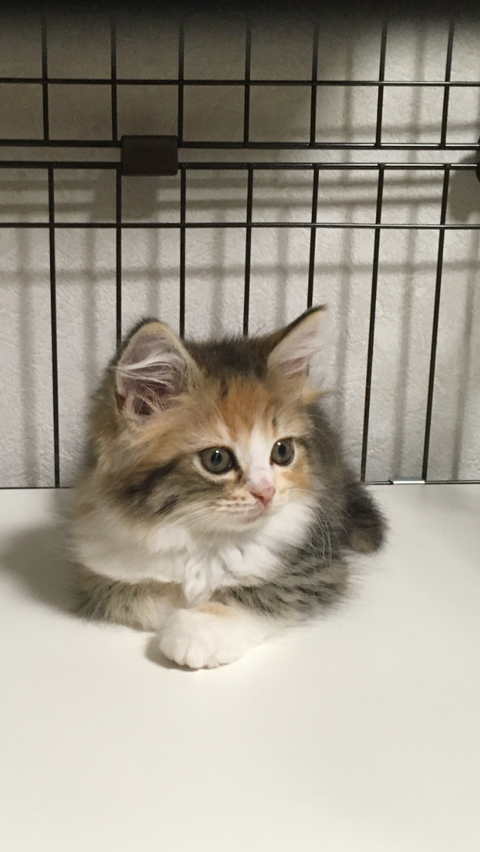 1BB8D5DB-A750-4369-87F7-4D30CA36877E