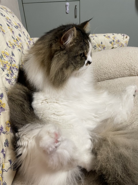 BD8B8F63-DB0D-4AAA-BFDD-595CA63A26C5