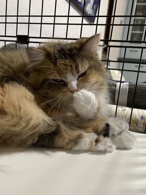 9E489A61-C527-41A9-976C-835D17269E63