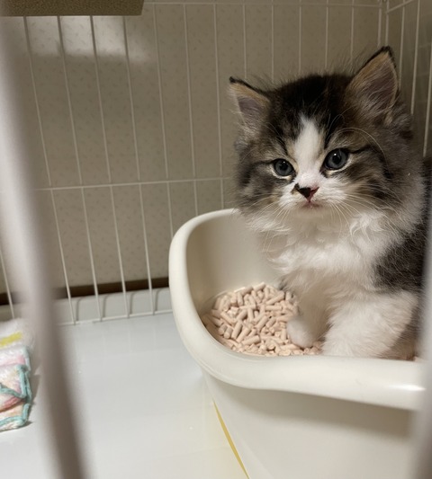 E65E9CED-B8AD-4900-B457-1C89194A5B64