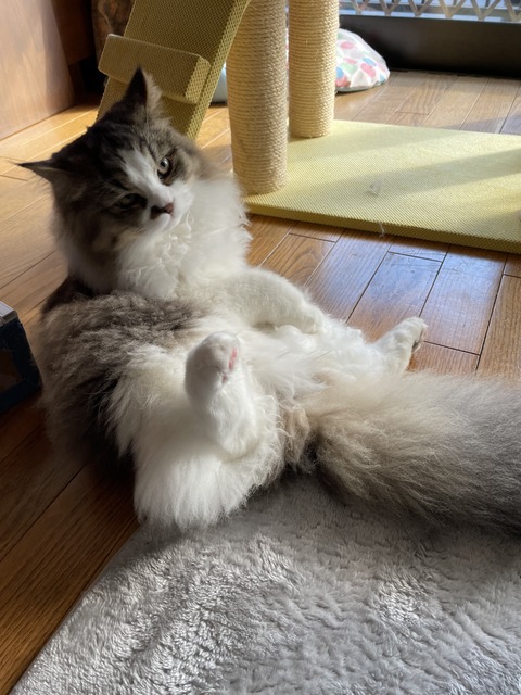 F2193D63-C597-4F3D-B2F1-8FAAF3CEB5EB