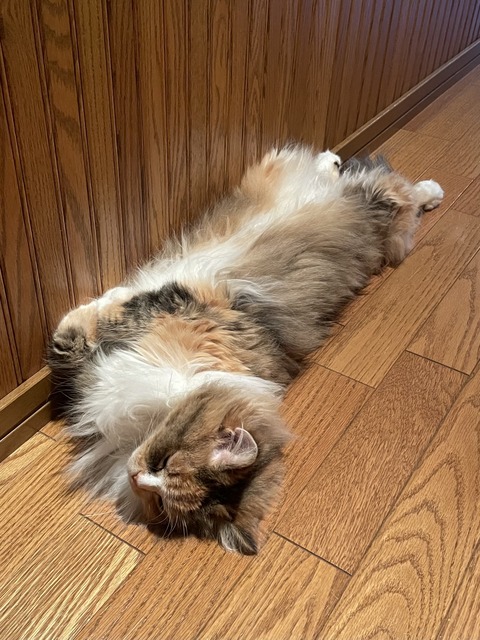 973731A7-677A-4C1C-BD7B-F48A8966C2AB