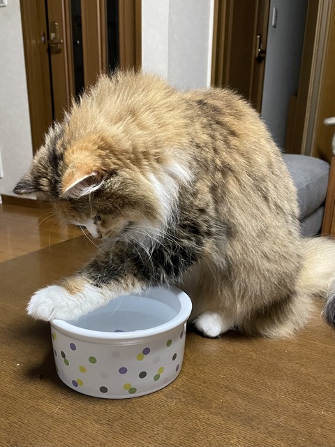 98B33239-1031-4295-B119-02960BF6E564