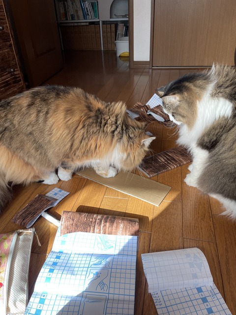 56C7C146-F875-46BE-94E0-8E87C1B4434C