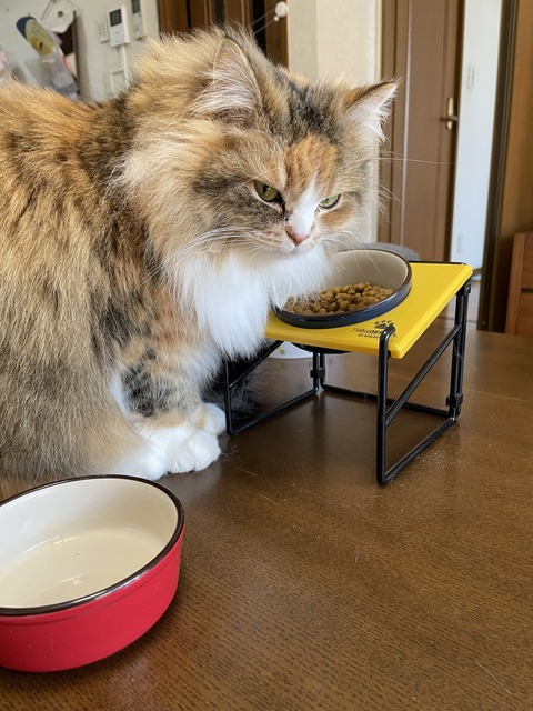 875C2BCA-C2F7-4F5E-A3C1-A7C9D99D66C7