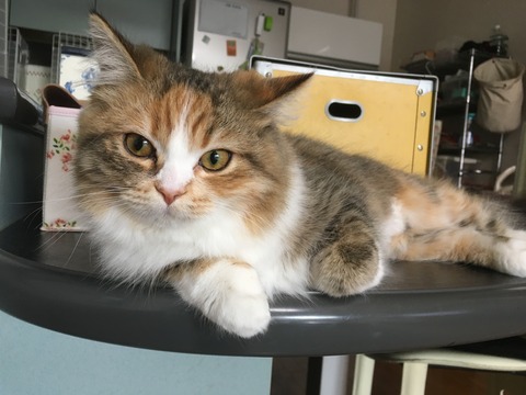 DB645EB6-75E5-457F-A953-5A4B1DE9BDD3