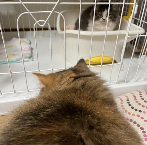 36A7B216-14BB-498B-B186-8D1B62F8A9C4