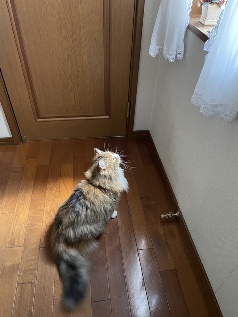 2B8517AD-98DB-451A-82F2-A256CFCD23B2