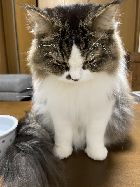 318B810D-10E1-421F-9318-0AC1BFCDAC32