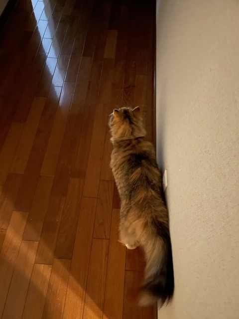 6137D93B-3215-4678-AC28-A237CDE9F1D6