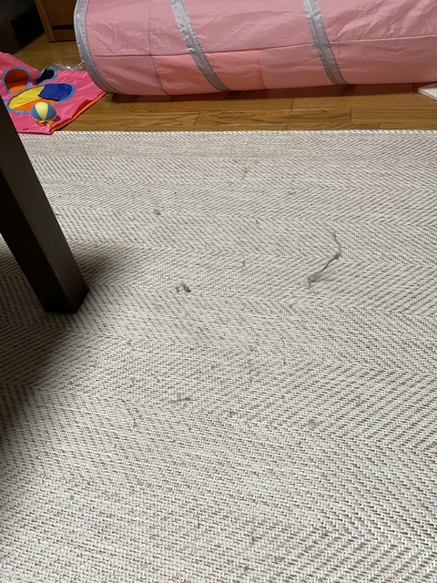 924DD90D-6EDD-4D87-BE3A-8CBE635D68CA