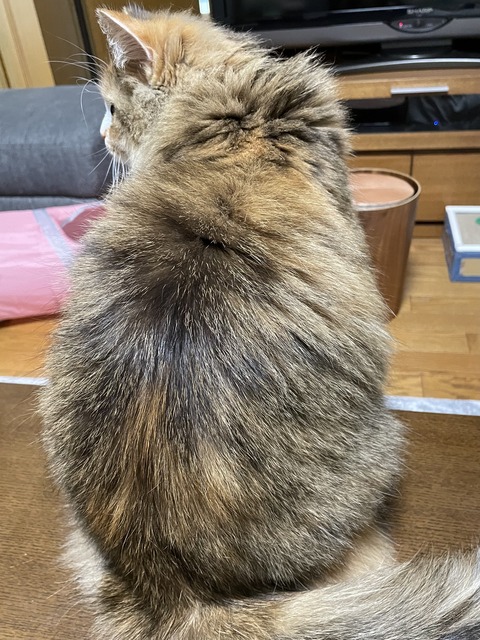 B880125D-8CE0-4ABE-811C-5E5AC64955F4