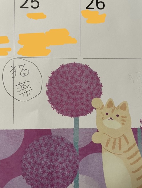 A99AE90D-B52F-4568-AD72-207B24527362