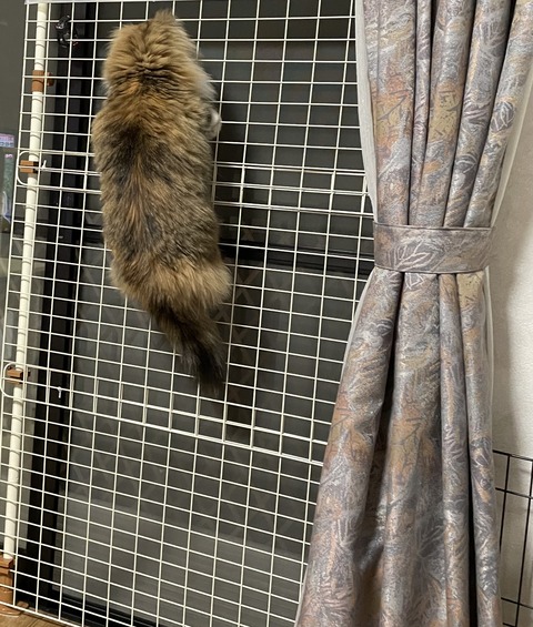 52377037-F155-40A6-92DA-F1CE3ACC7792