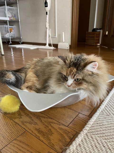 1A6F601A-9048-4FA2-A794-879D28262504