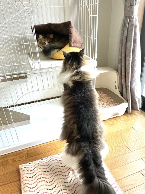 FFC74595-A0C9-4A0F-A831-CC12B53331DA