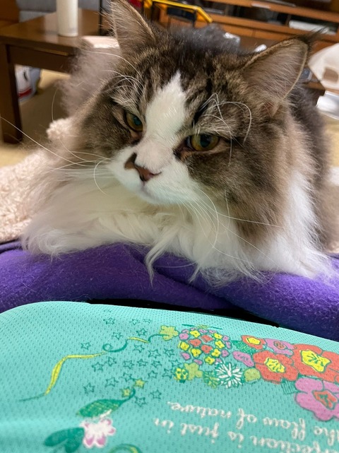 B87E19BF-C86F-4BDB-8A0D-EDCF641758C1