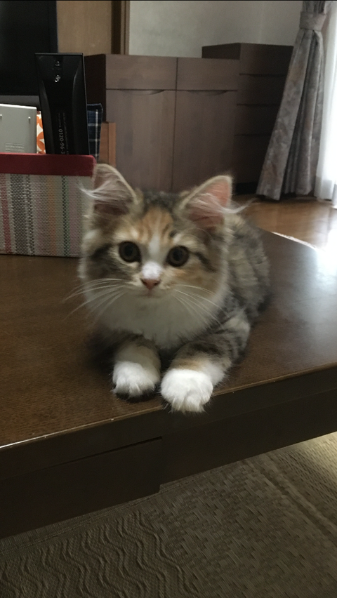 1468B30D-0DA4-49A5-A9BB-87187166B4E6