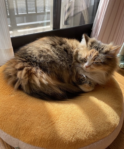 E5EE11CC-EAEA-48F1-BDD1-7F25ED5C1910