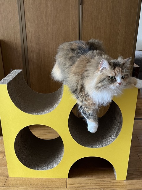 7A8AB088-AD4C-4DD0-A9C1-C9974F04AE57