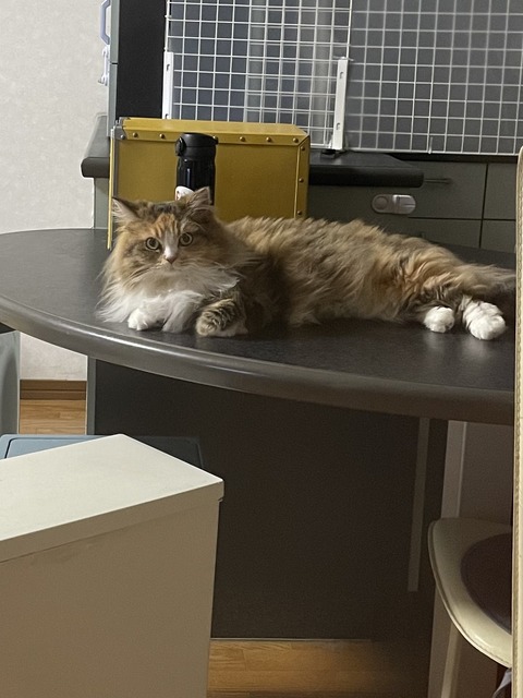 9CE375AB-C4C7-4FEF-9DF5-8B3B90173C3E