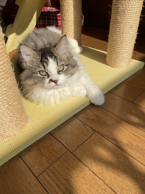 84857A3C-B911-4D4B-8D43-0D6C87B0045A