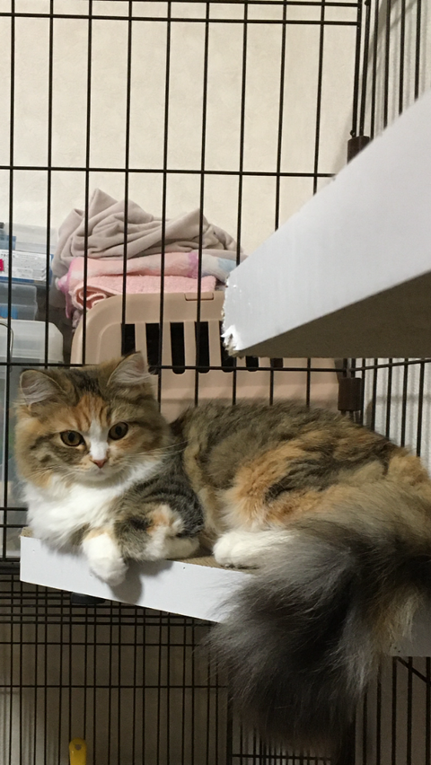 962A0A49-59CC-4AD3-B48E-8AE8DDE1A3CC