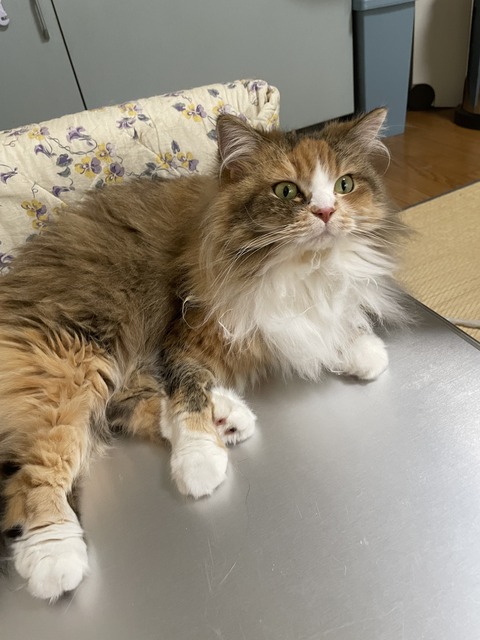 76B3E2BA-5F1F-4C80-BE2E-79A31FF4E83A