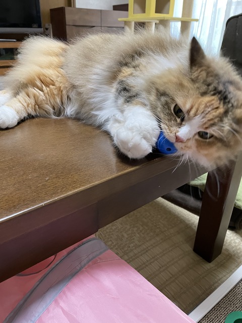 9FC3188E-BDCF-48B3-9BF8-03F376899793