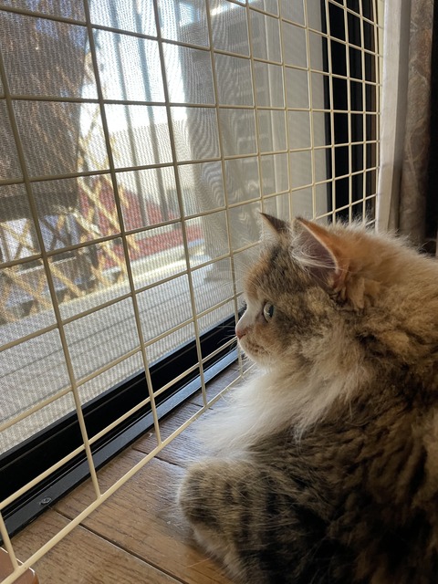 691858B2-61F6-45CE-ABB6-774970AC8628