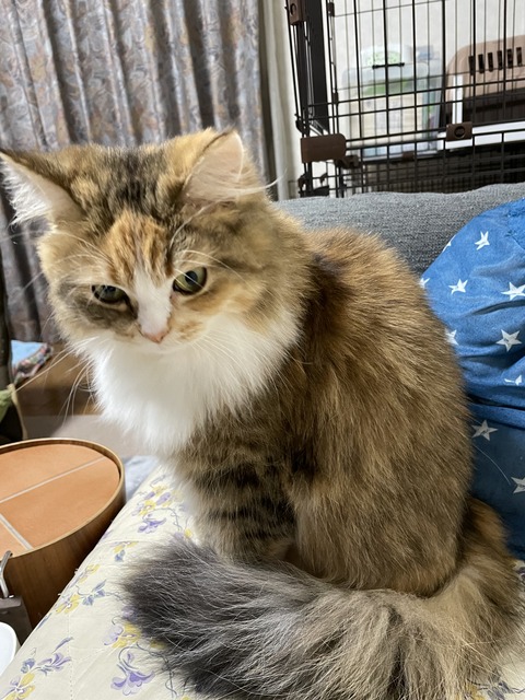 F6B87D3F-A7CB-43B0-BF86-3AC3D3E6343E