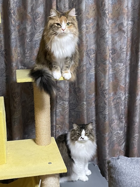 75FFDADD-9661-4FB8-B254-C99D400A1137