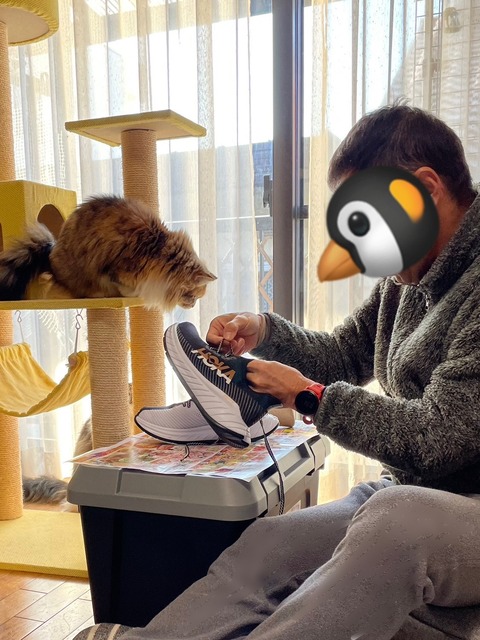 E3A07C29-A9EB-4809-8AA4-4E1DB65A5671