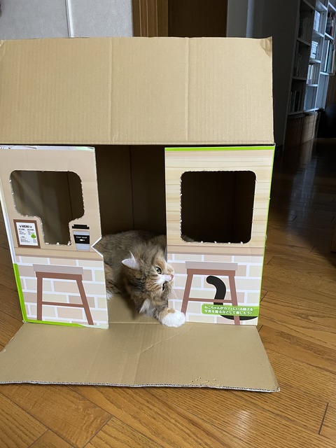 E4234A40-3BA6-443C-BE92-E9F4B2B66438