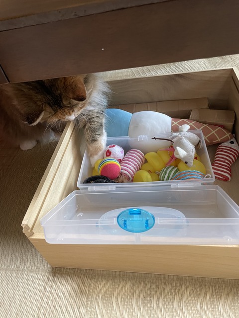 982E8524-A2C4-4D2B-9972-E48E60D4F3B0