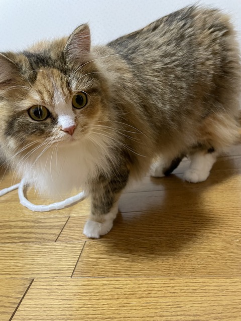 7462FE4B-436E-4AF1-B91D-082A3D8EC12B