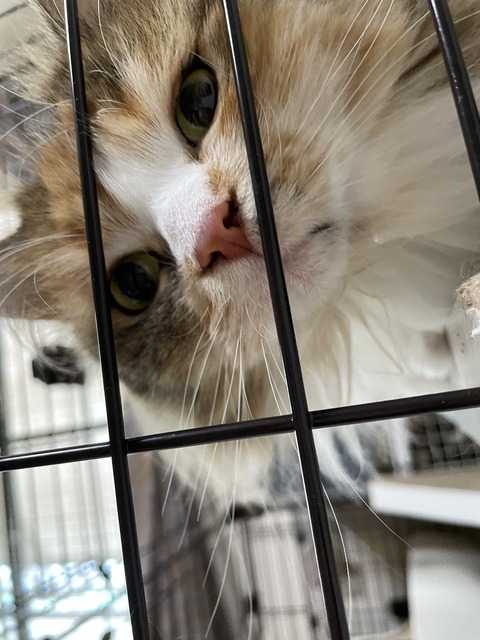 C3FF10C4-AE85-4F0C-AF6E-FDFD3EDACB69