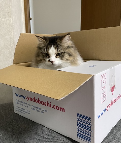 2FCAD7C7-C15D-4328-BEF9-5C04CD83D344