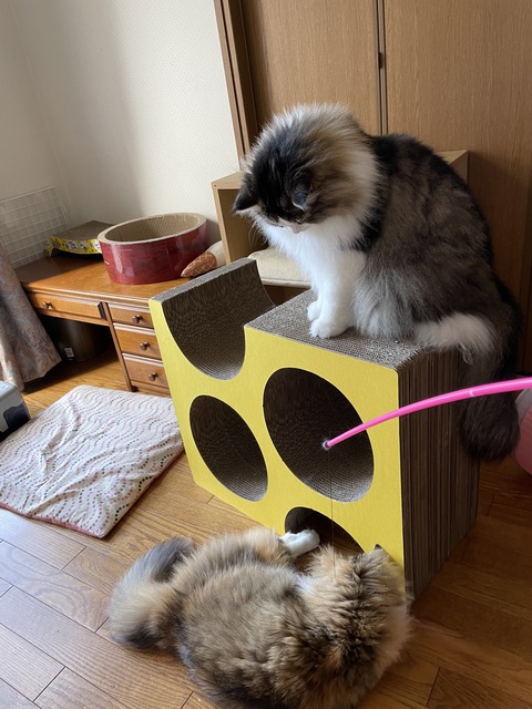 D3BD317E-2DD8-4793-BB9D-3F36840235AF