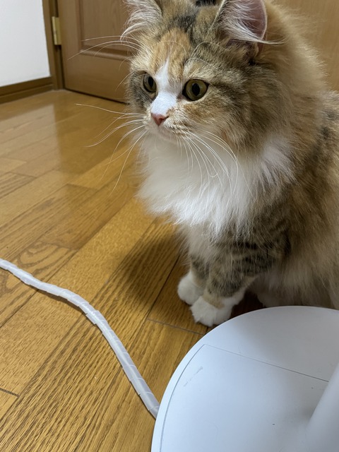 A725EB88-C2A4-4619-8575-4DBB40B104AC